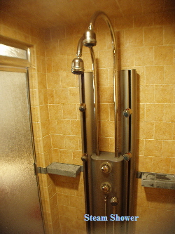 steam shower system