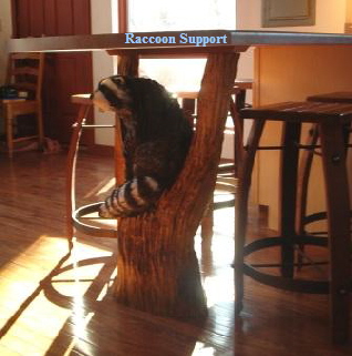 Raccoon Support